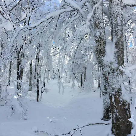 Agreable En Plein Coeur De Διαμέρισμα *