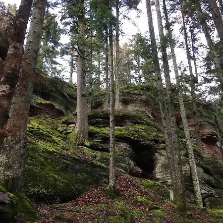 Agreable En Plein Coeur De *