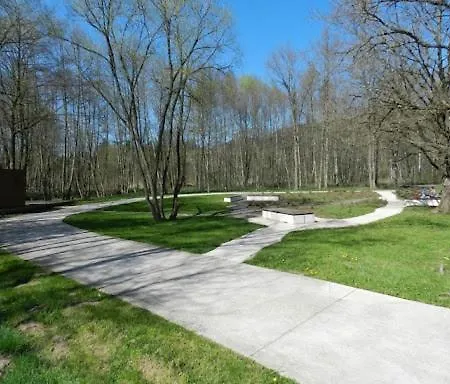 Agreable En Plein Coeur De * Raon-lʼÉtape