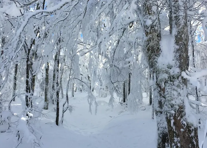 Agreable En Plein Coeur De Apartmán *