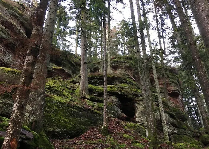 Agreable En Plein Coeur De *