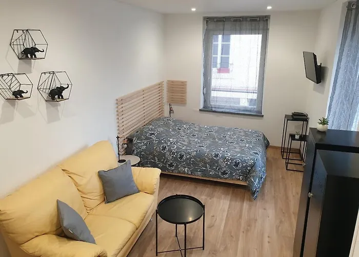 Agreable En Plein Coeur De Apartmán Raon-lʼÉtape